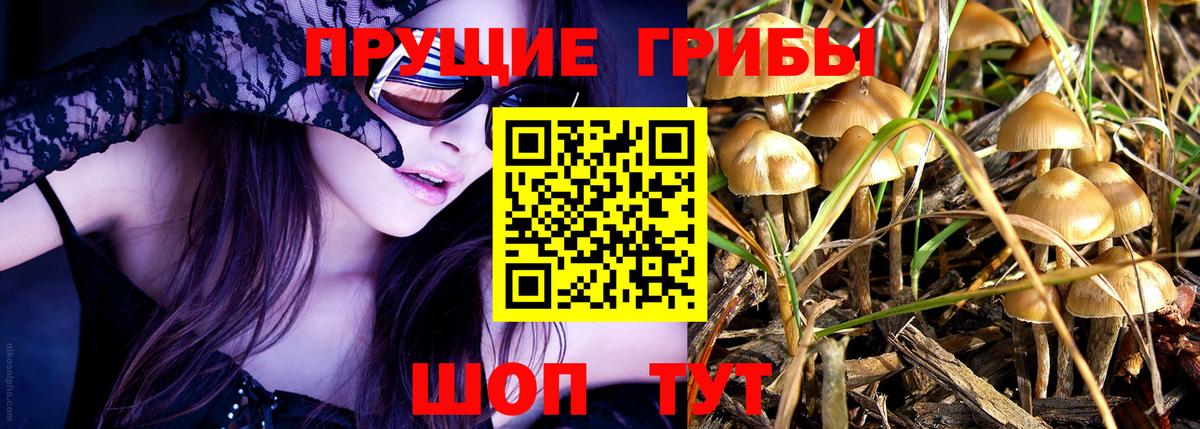 Псилоцибиновые грибы GOLDEN TEACHER Ртищево