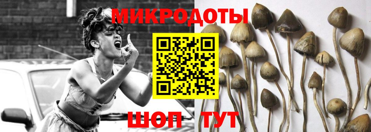 Галлюциногенные грибы ЛСД  Вход с VPN  Ртищево 